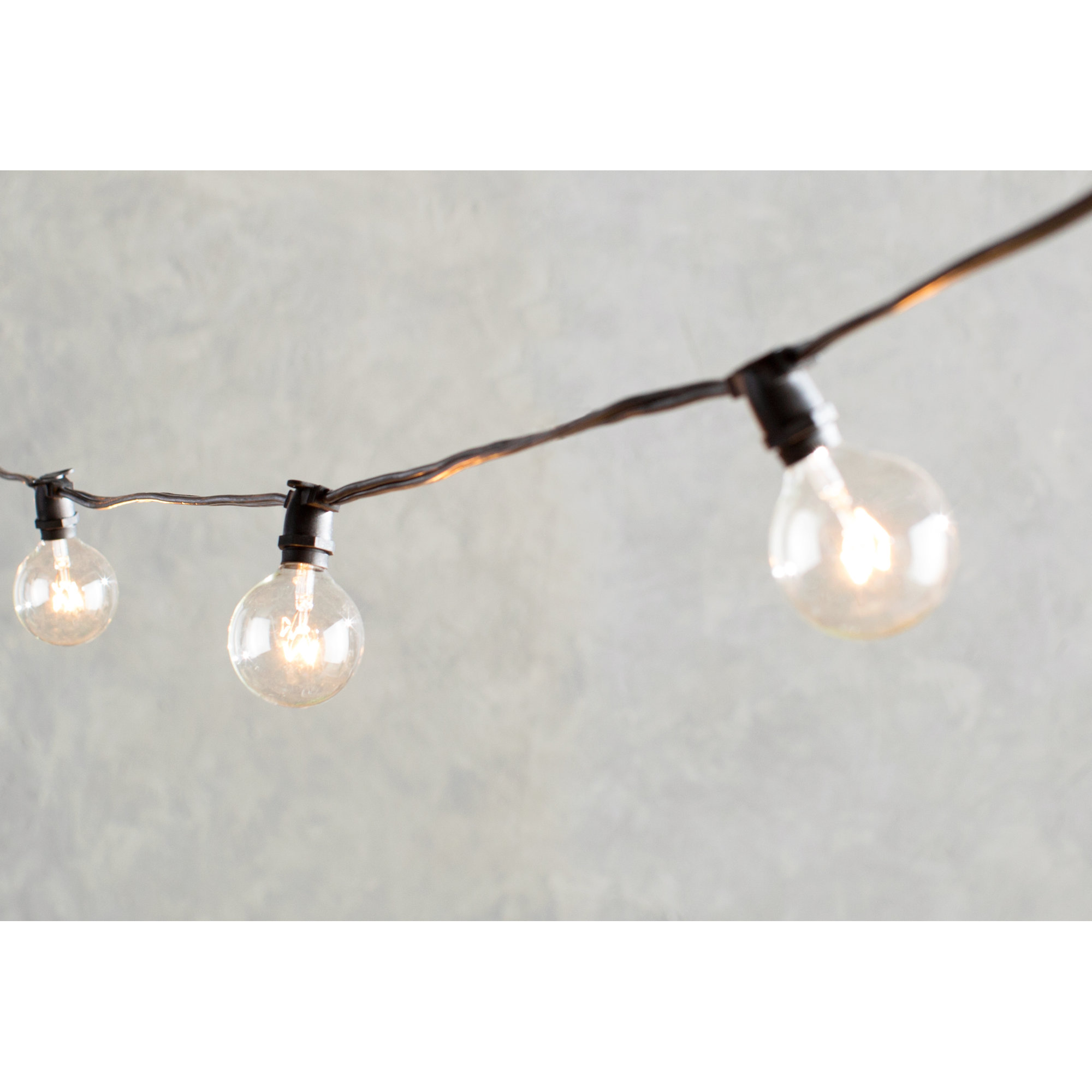 Globe String Lights & Reviews Birch Lane